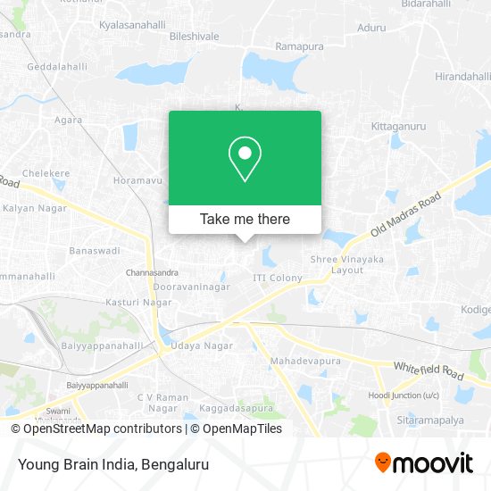 Young Brain India map