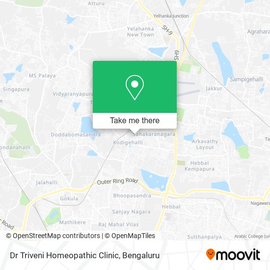 Dr Triveni Homeopathic Clinic map