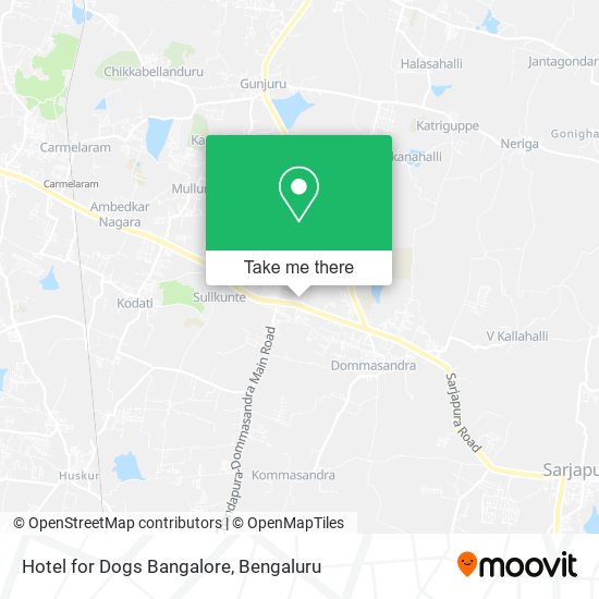 Hotel for Dogs Bangalore map