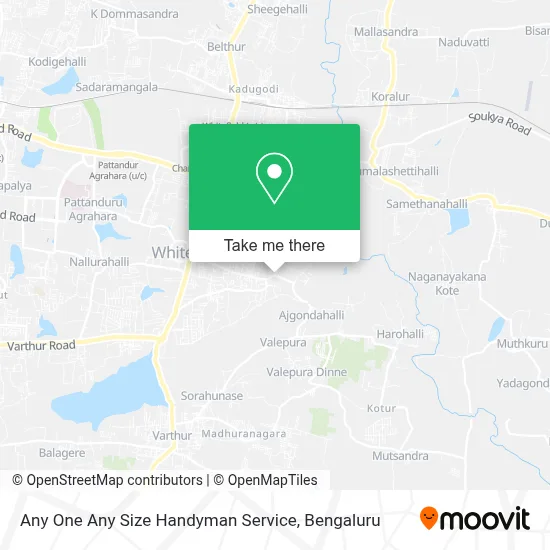Any One Any Size Handyman Service map