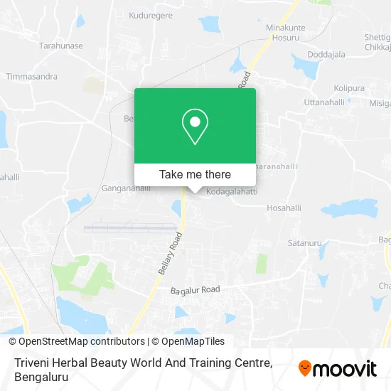 Triveni Herbal Beauty World And Training Centre map