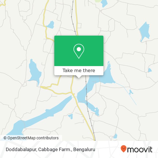 Doddabalapur, Cabbage Farm. map