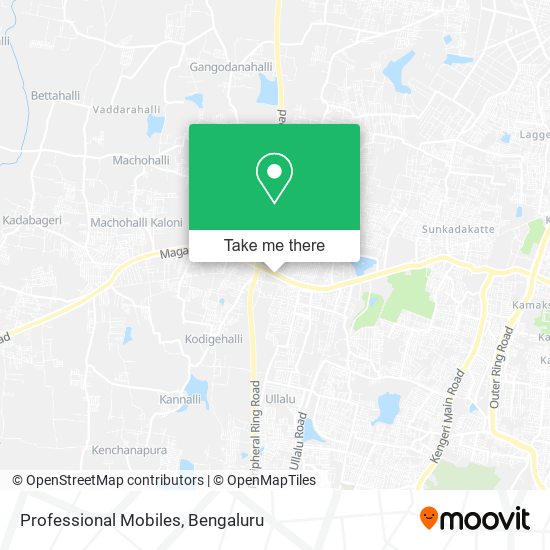 Professional Mobiles map