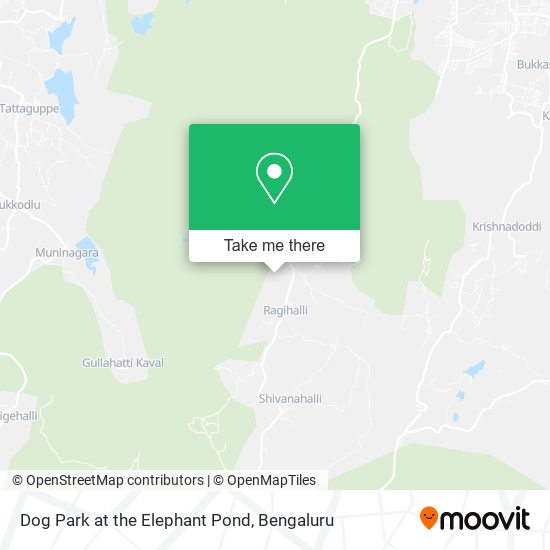 Dog Park at the Elephant Pond map
