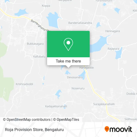 Roja Provision Store map