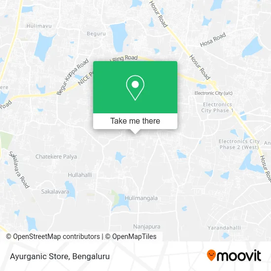 Ayurganic Store map