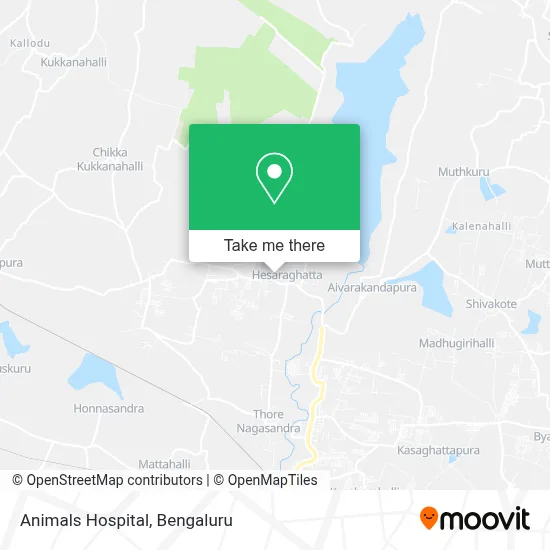 Animals Hospital map