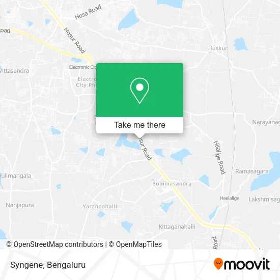 Syngene map