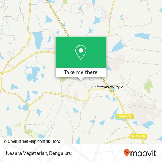 Nesara Vegetarian, Doddathoguru Road Bengaluru 560100 KA map