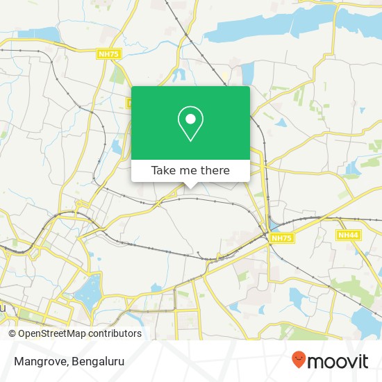 Mangrove, 1st Cross Road Bengaluru 560043 KA map