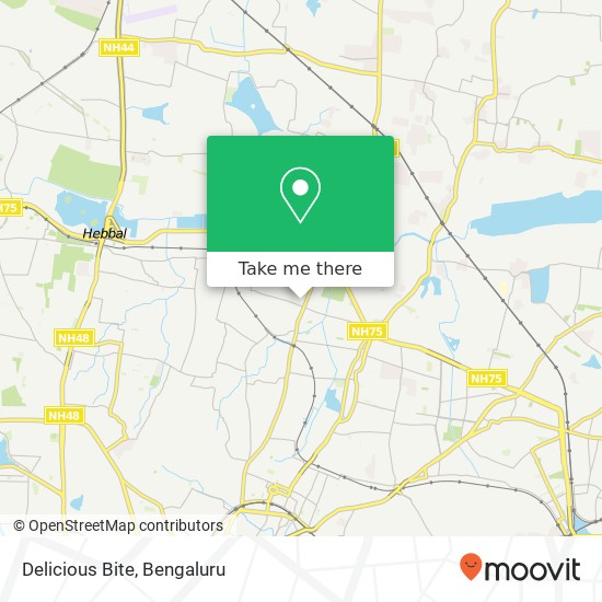 Delicious Bite, 2nd Cross Road Bengaluru 560045 KA map