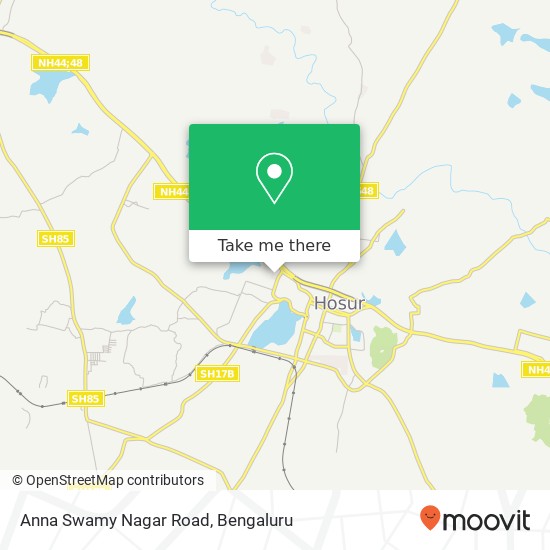 Anna Swamy Nagar Road map