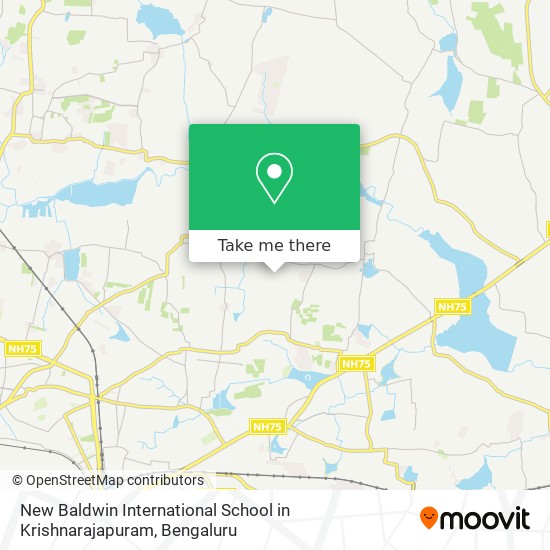 New Baldwin International School in Krishnarajapuram map