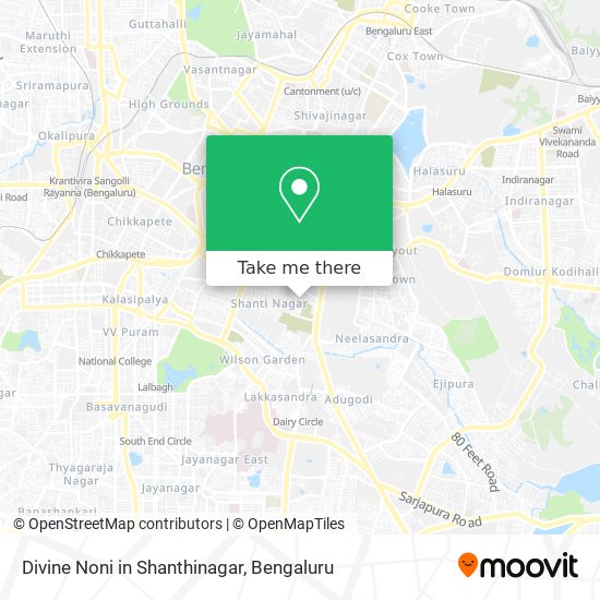 Divine Noni in Shanthinagar map