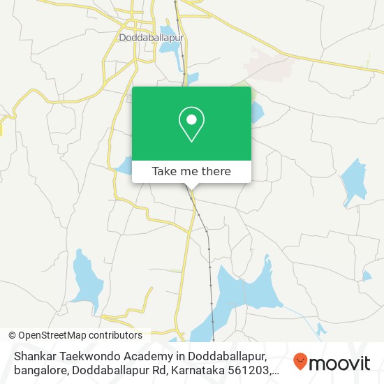 Shankar Taekwondo Academy in Doddaballapur, bangalore, Doddaballapur Rd, Karnataka 561203, India map