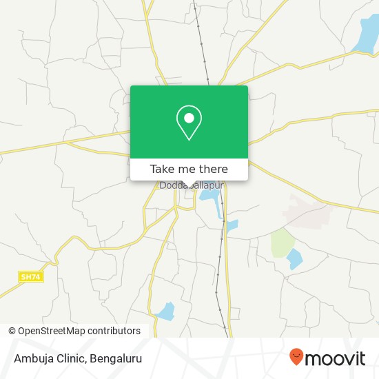 Ambuja Clinic map