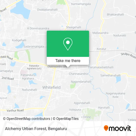 Alchemy Urban Forest map