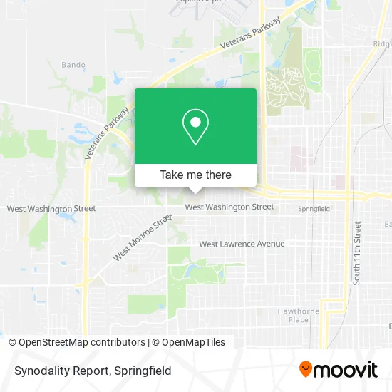 Synodality Report map
