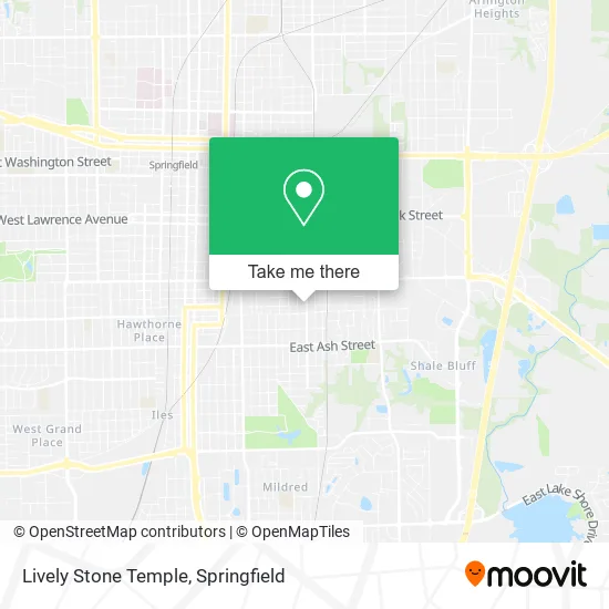 Lively Stone Temple map