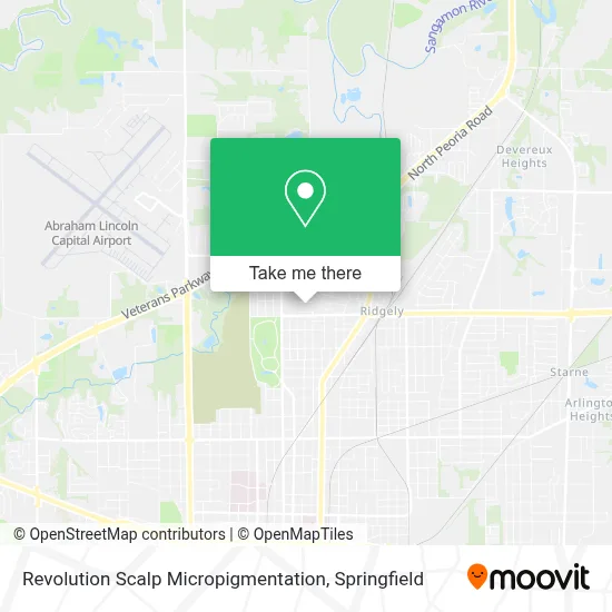 Revolution Scalp Micropigmentation map