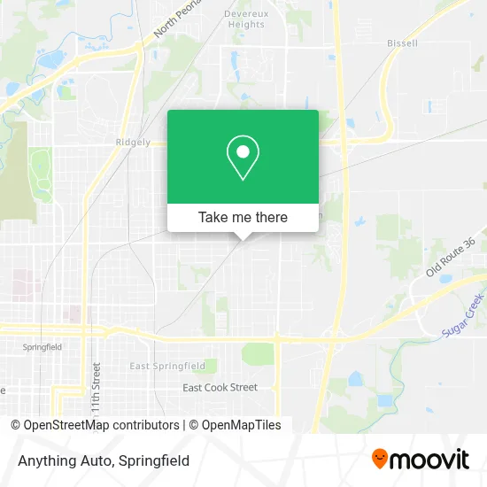 Anything Auto map