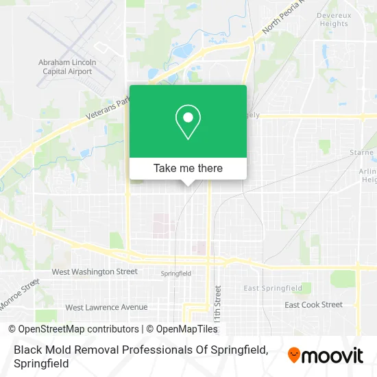 Black Mold Removal Professionals Of Springfield map