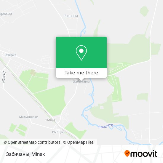 Забичаны map