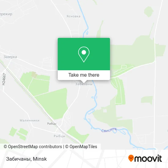 Забичаны map