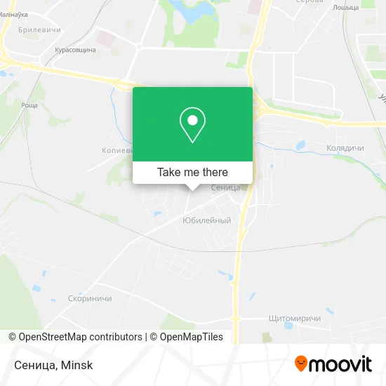 Сеница map
