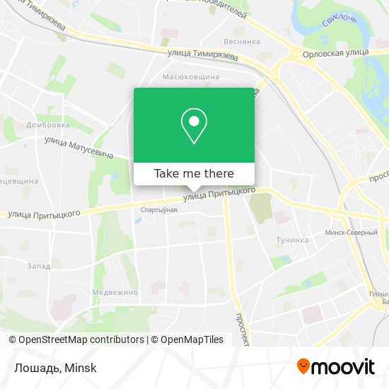 Лошадь map