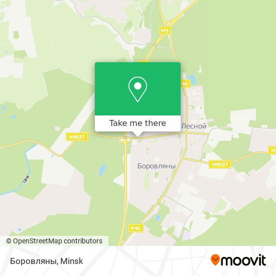 Боровляны map