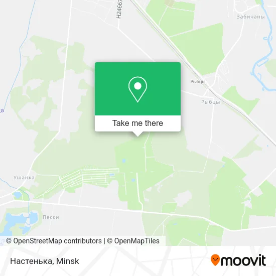 Настенька map