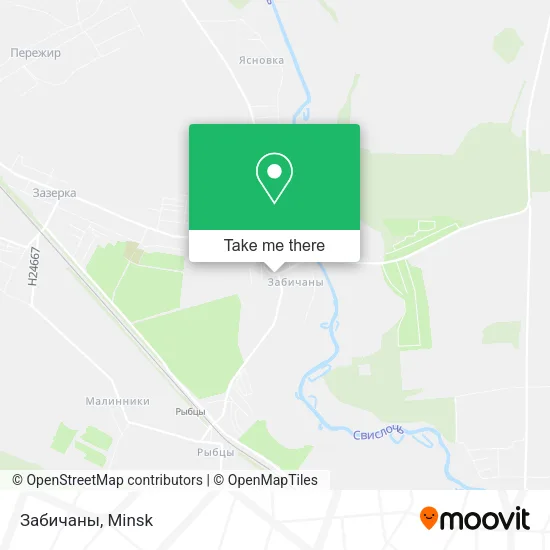 Забичаны map