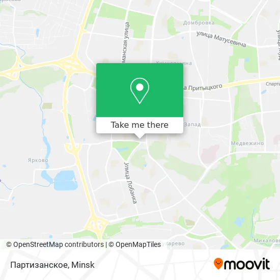 Партизанское map