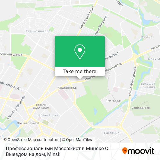 Профессиональный Массажист в Минске С Выездом на дом map