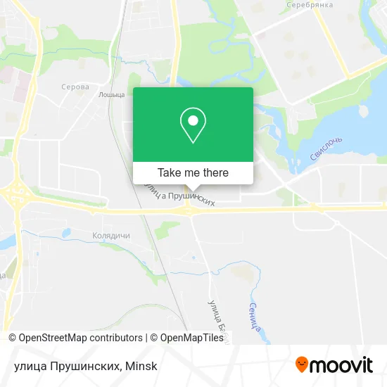 улица Прушинских map