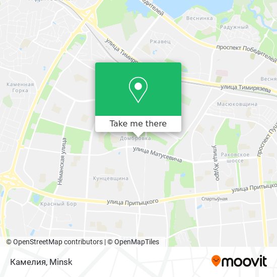 Камелия map