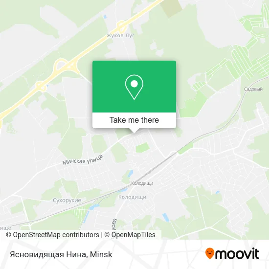 Ясновидящая Нина map