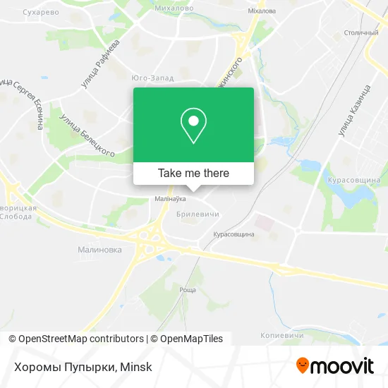 Хоромы Пупырки map