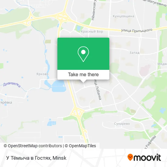 У Тёмыча в Гостях map