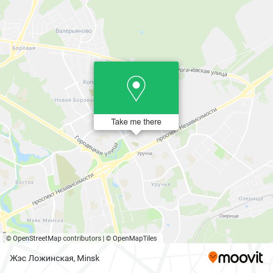 Жэс Ложинская map