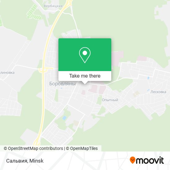Сальвия map