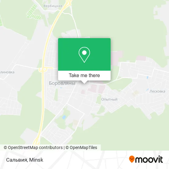 Сальвия map