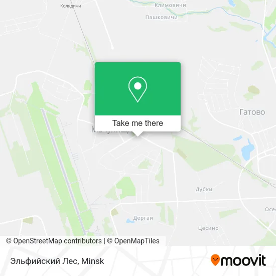 Эльфийский Лес map