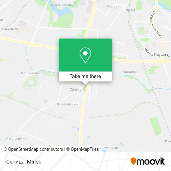 Сеница map
