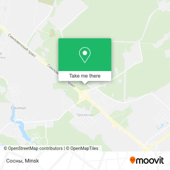 Сосны map
