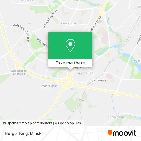 Burger King map