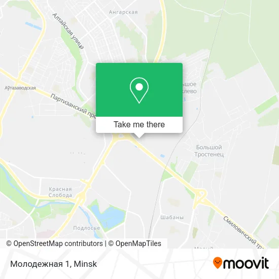 Молодежная 1 map