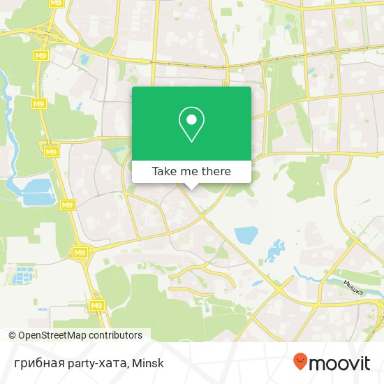грибная party-хата map
