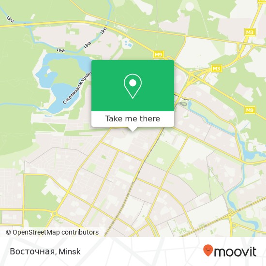 Восточная map